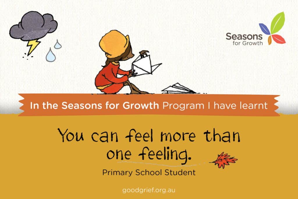 Seasons for growth child feelings