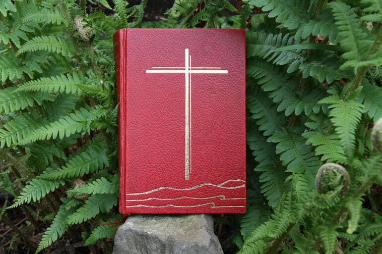 New Zealand Book of common prayer with ferns