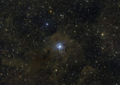 From Stardust, to Wind and Flame, to Stardust We Go