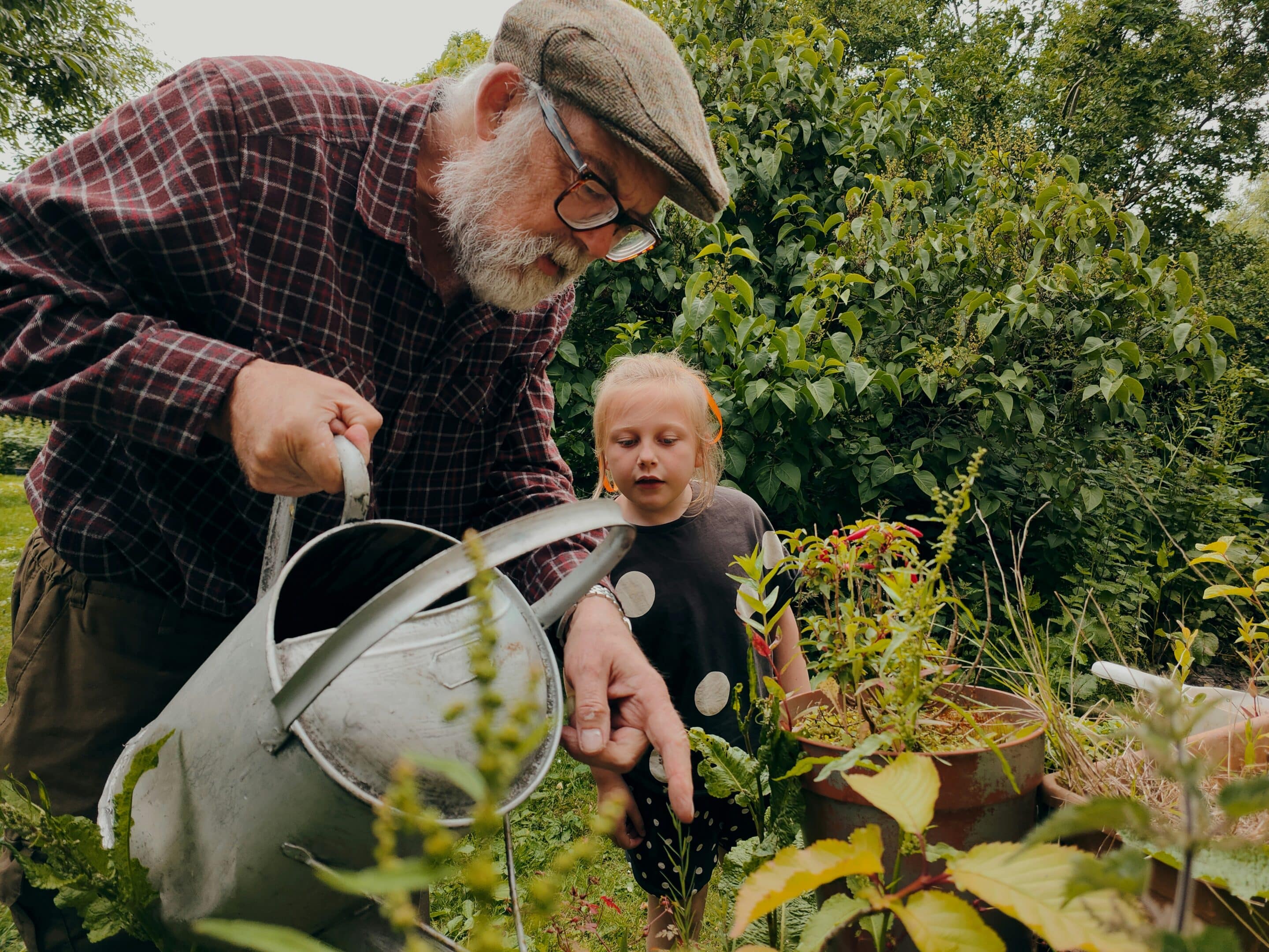 September 28 Sermon A grandfather waters plants in the garden while his grand daughter watches.