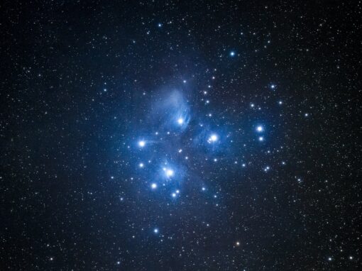 Matariki Celebrations