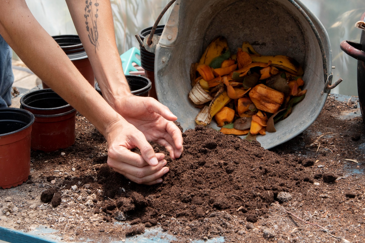 Hands gather fine dark compost off a bench. In the background is a pail of food scraps.