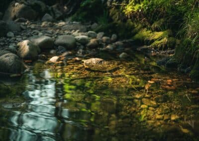 Beginning with a small trickle from the temple, life starts to flow